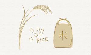 お米を少しでも安くお得に購入して節約する方法